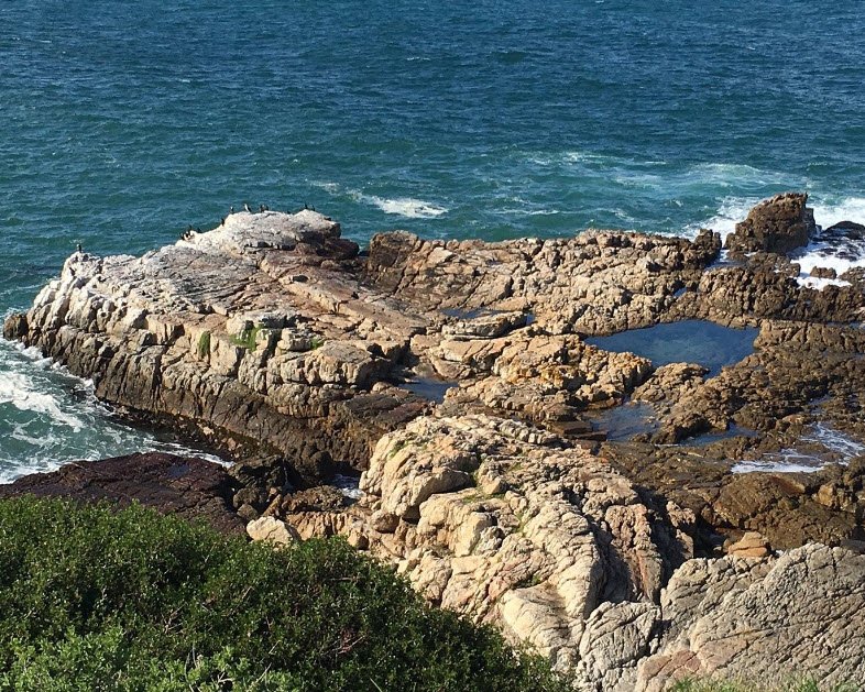 Hermanus